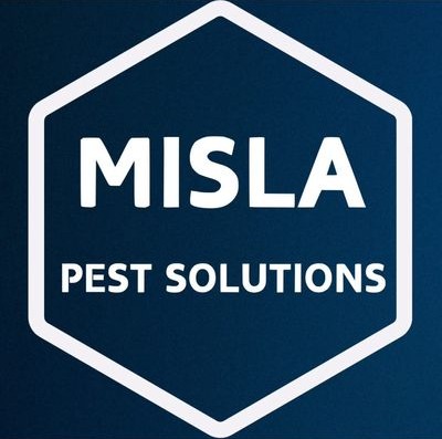 alphabay solutions reviews