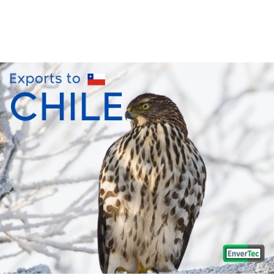 dark markets chile
